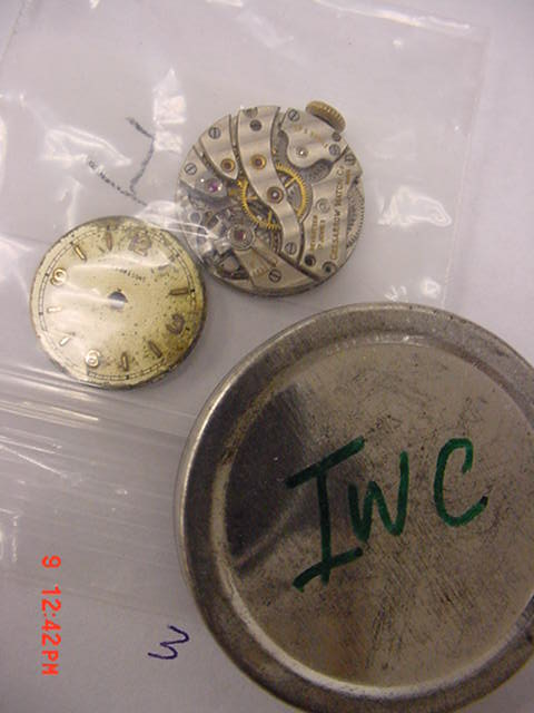 International Watch Co (IWC)